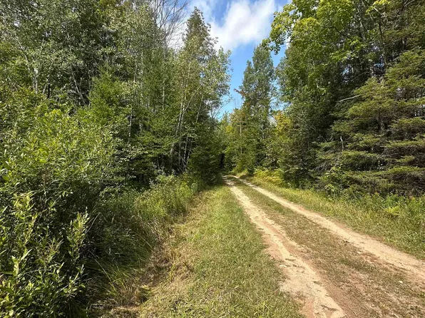 21st Rd, Gladstone, MI 49837