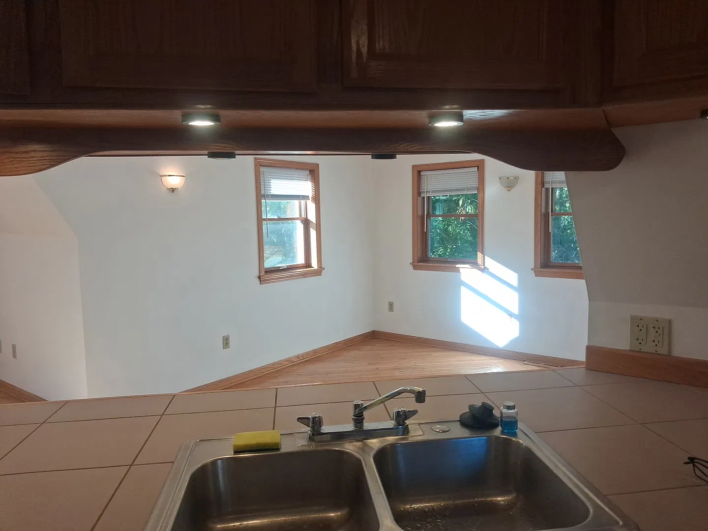 1 bed, $1,500 — Photo 3