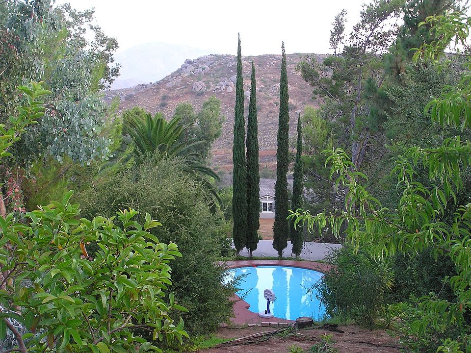 10 ft diver pool and jacuzzi