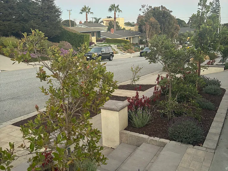 Front yard with lemon tree and fruit trees
