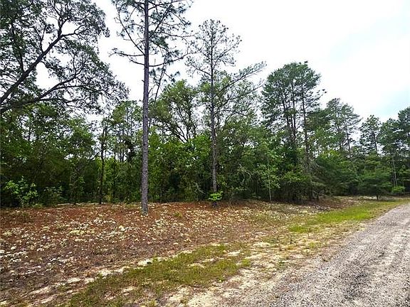 5th image of 576 E Nemo Dr Lot 4