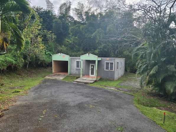 Bambu Street Rabanal #BO-6, Cidra, PR 00739