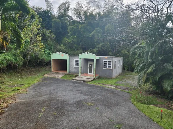 Bambu Street Rabanal #Bo-6, Cidra, PR 00739