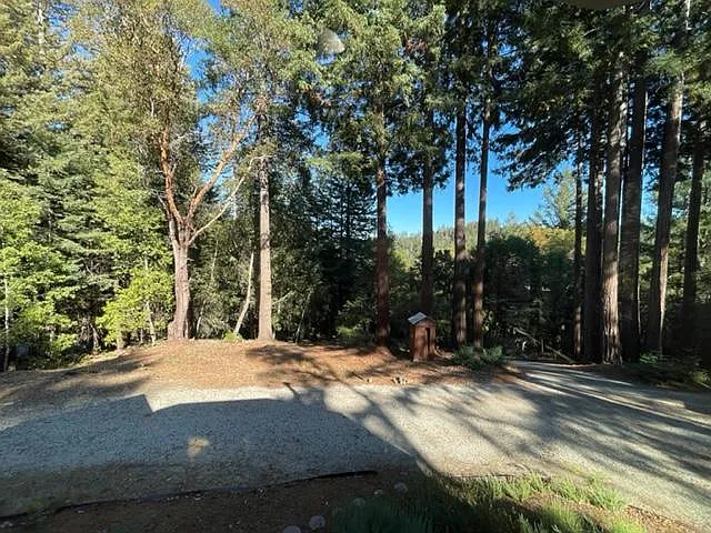 12845 Love Creek Rd — Photo 2
