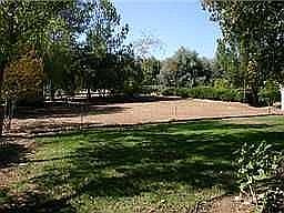 Back Yard - Large enough for horse corrals