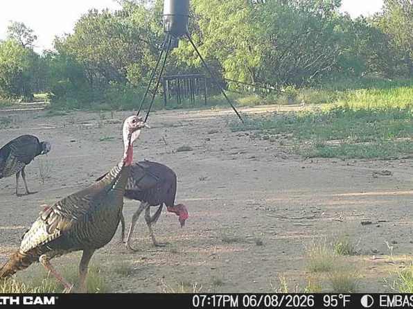 Rr 11, Millersview, TX 76862