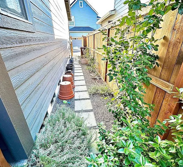 Side yard landscape