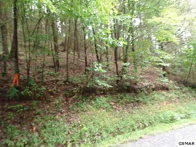 1st image of 98 Bueno Vista Rd Lot 98