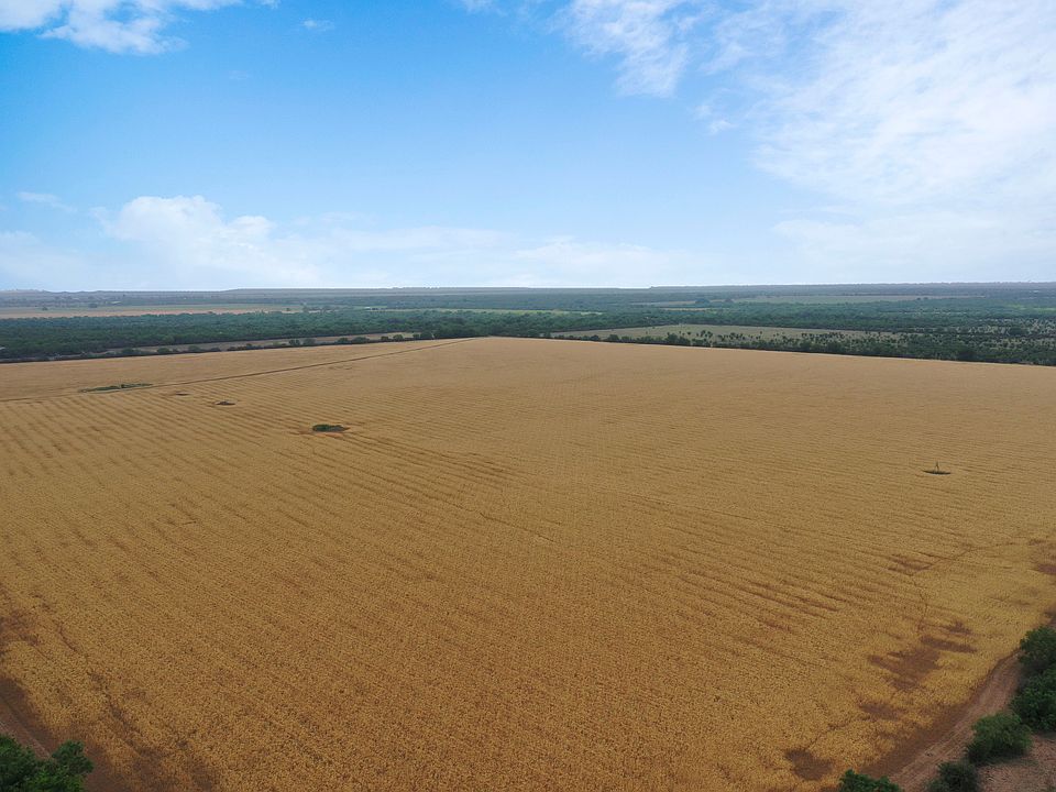 1st image of 82/- Acres Knippa Farm #303