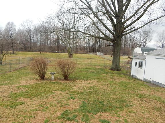 View of Back yard