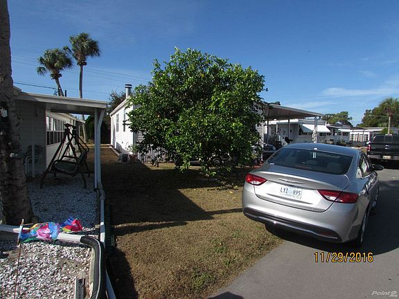 Mineola Tree In Front