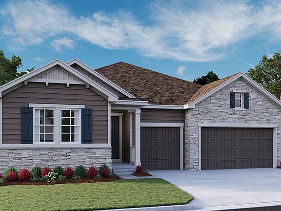 The Darius - Elevation D