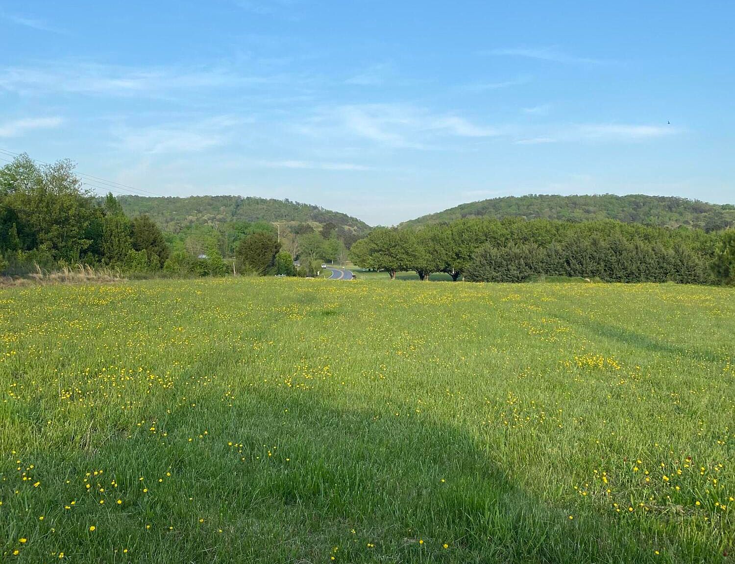 204 Whippoorwill Way, Ringgold, GA 30736 Zillow