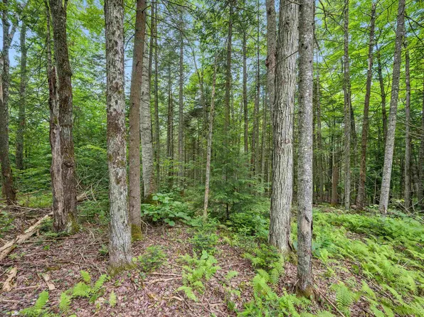 0 Macey Road, Middlesex, VT 05602