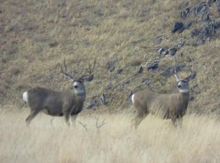 Nhn Sleeping Child Rd, Hamilton, MT 59840