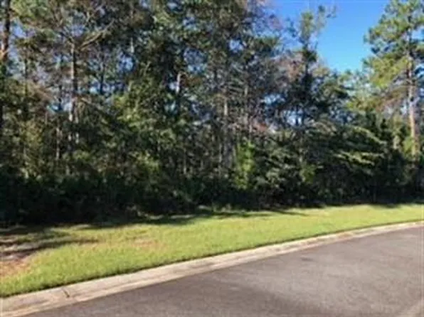 110 Bluebill Trl, Brunswick, GA 31523