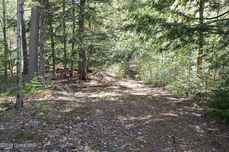 3rd image of 00 Adirondack Heights Rd Lot 8