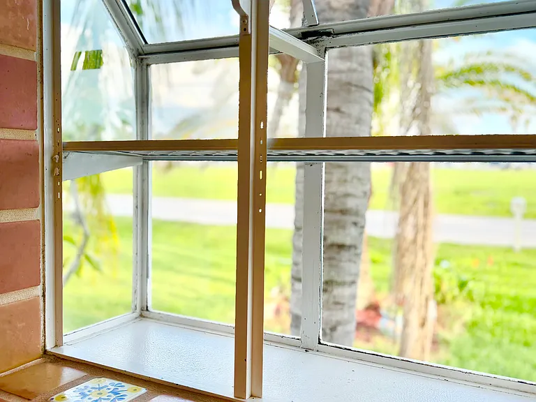 Window box for plants