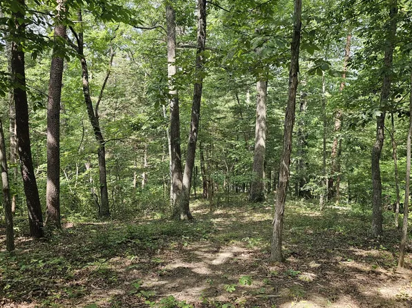 Gravel Ln, Lexington, VA 24450