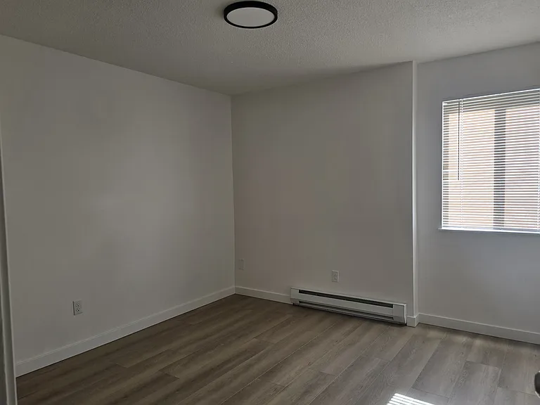 7440 Rainier Ave S #2 — Photo 5