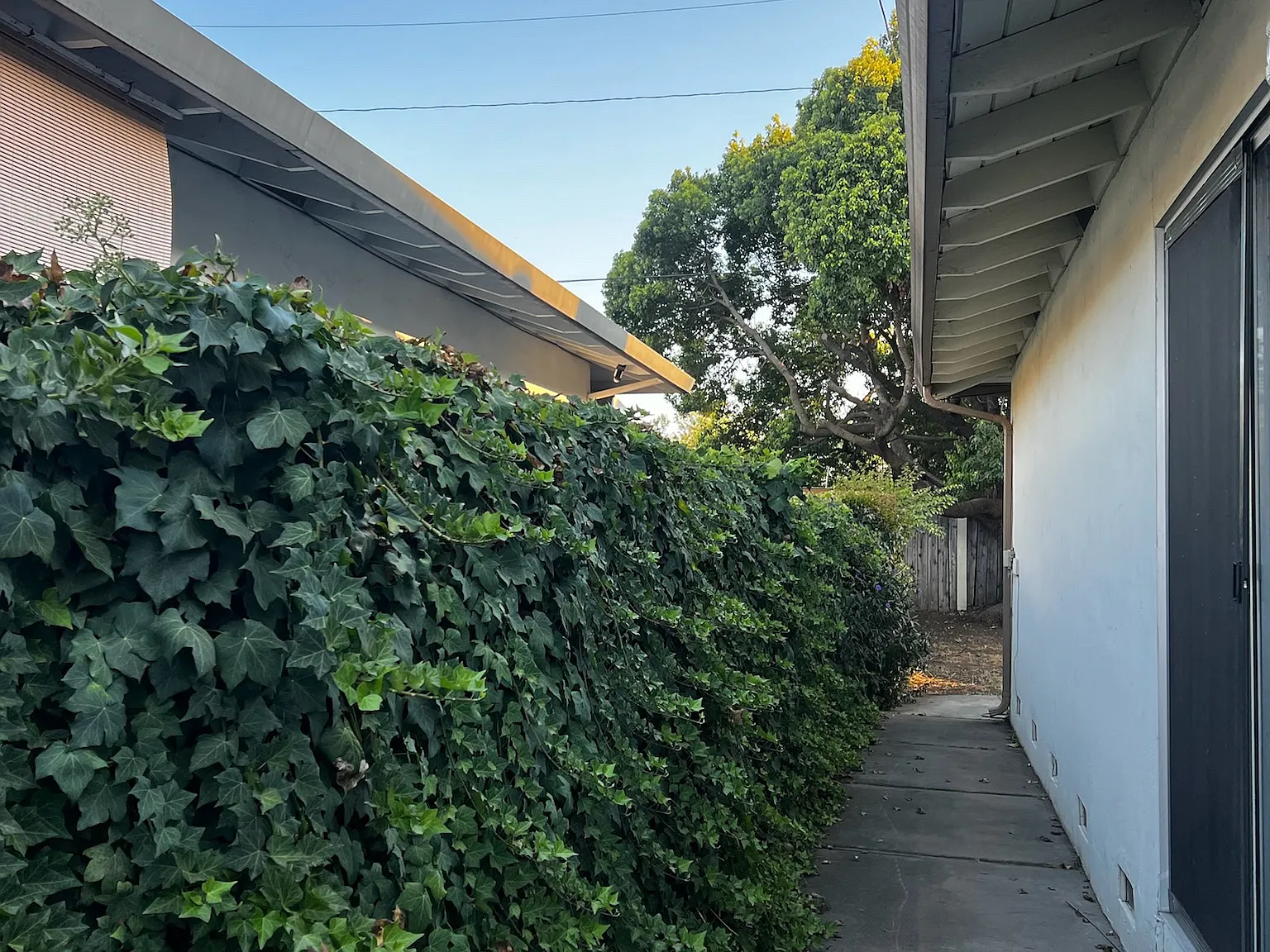 332 Felton Way — Photo 4