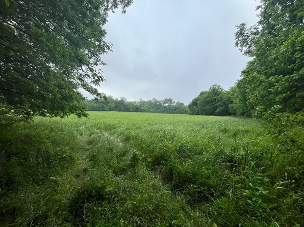 County Road 3525, Honey Grove, TX 75446