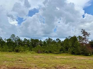 13190 Blackberry Dr, Lumberton, TX 77657