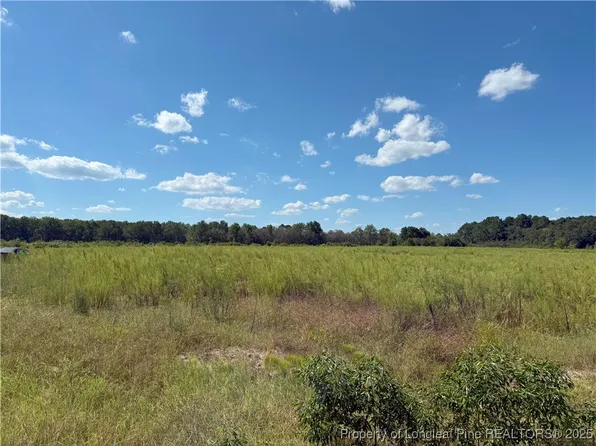 LOT 2 Collier Rd, Wade, NC 28395