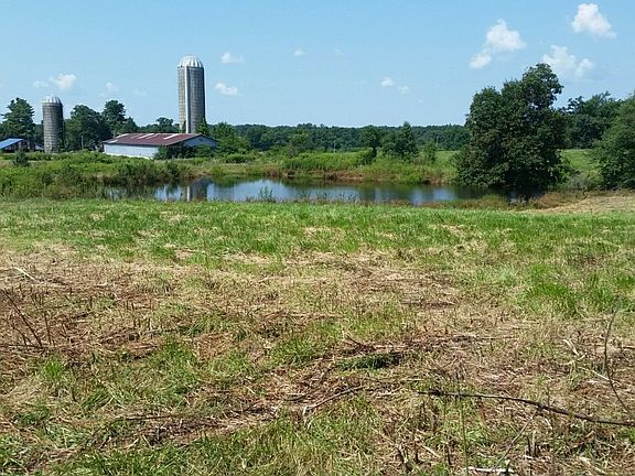 2nd image of 91 Red Gold Farm Ln