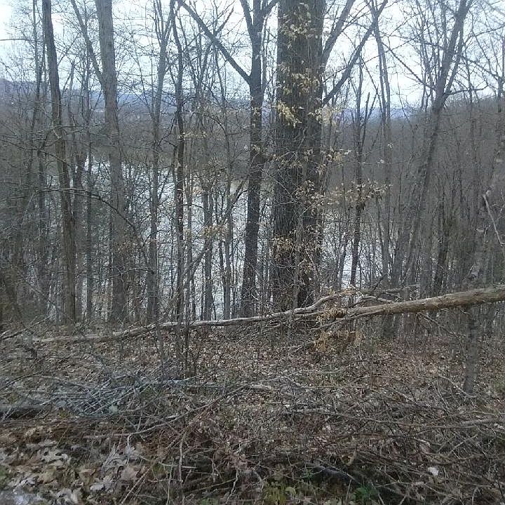 2nd image of 533 Lake Drive Ln