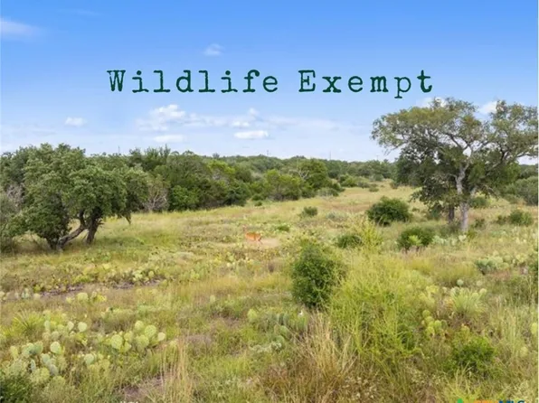 W Rr 962, Round Mountain, TX 78663