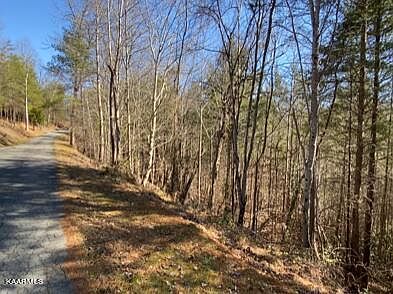 2nd image of Mountain Rest Way