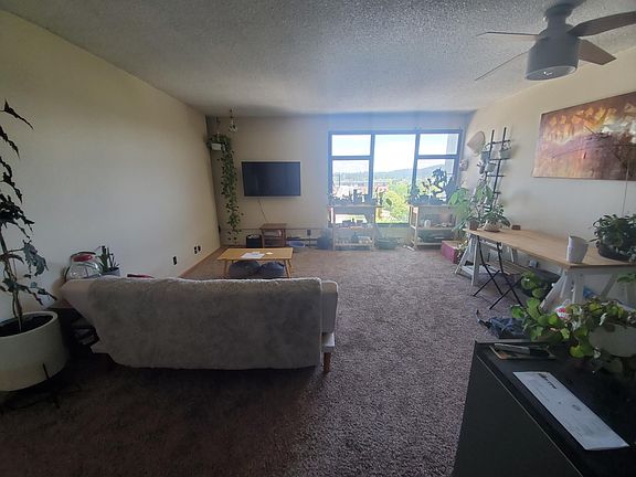Beautiful green and light living space, with mounted TV and decorations included.