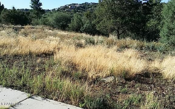 3rd image of 221 Starpine Pl