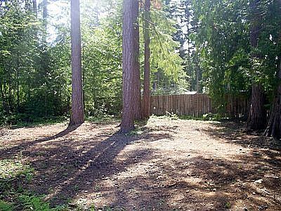 Nice big flat back yard