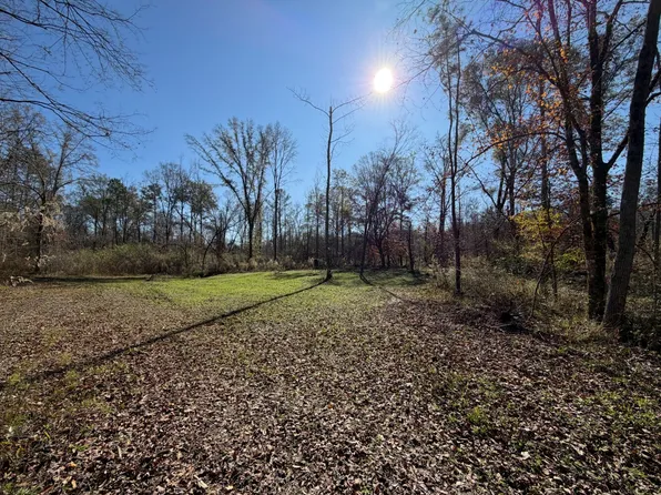 0 Cook Stand Rd, Luverne, AL 36049