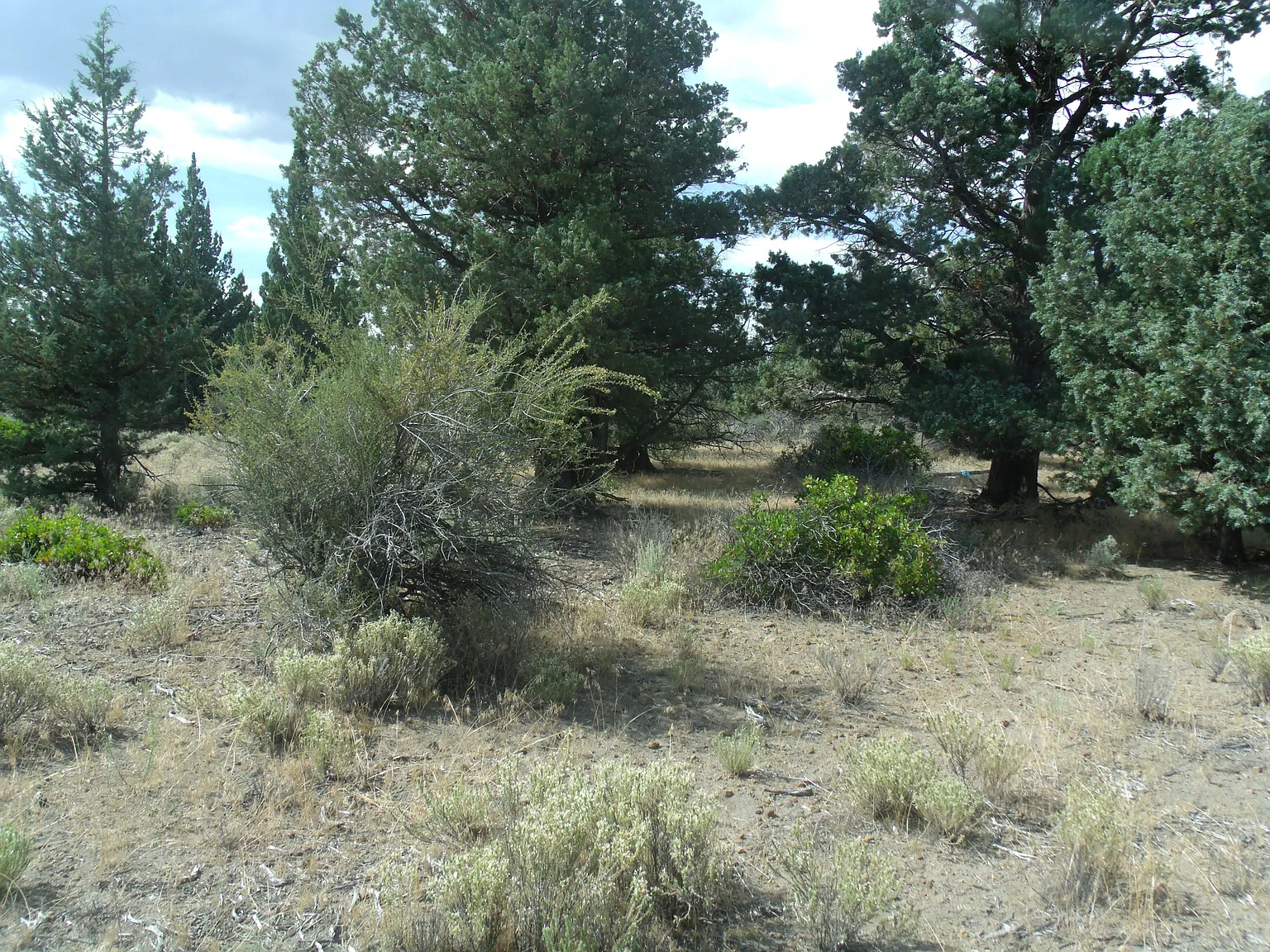 Lot 260 Sherwood photo 1