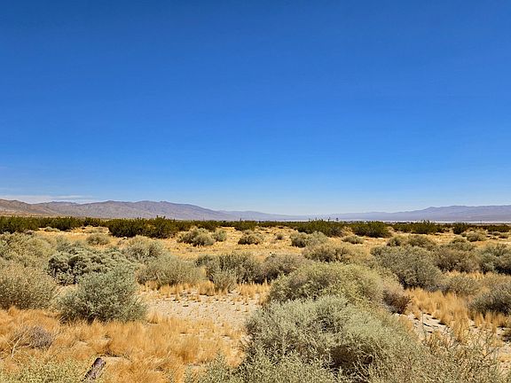 3rd image of Cholla Road Near Munsey Rd