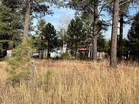 2nd image of 174 Canyon Circle