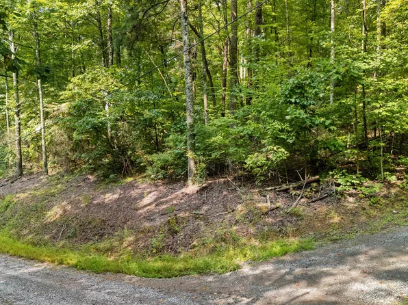 L-10/11 Bluebird Ridge Way, Sevierville, TN 37876