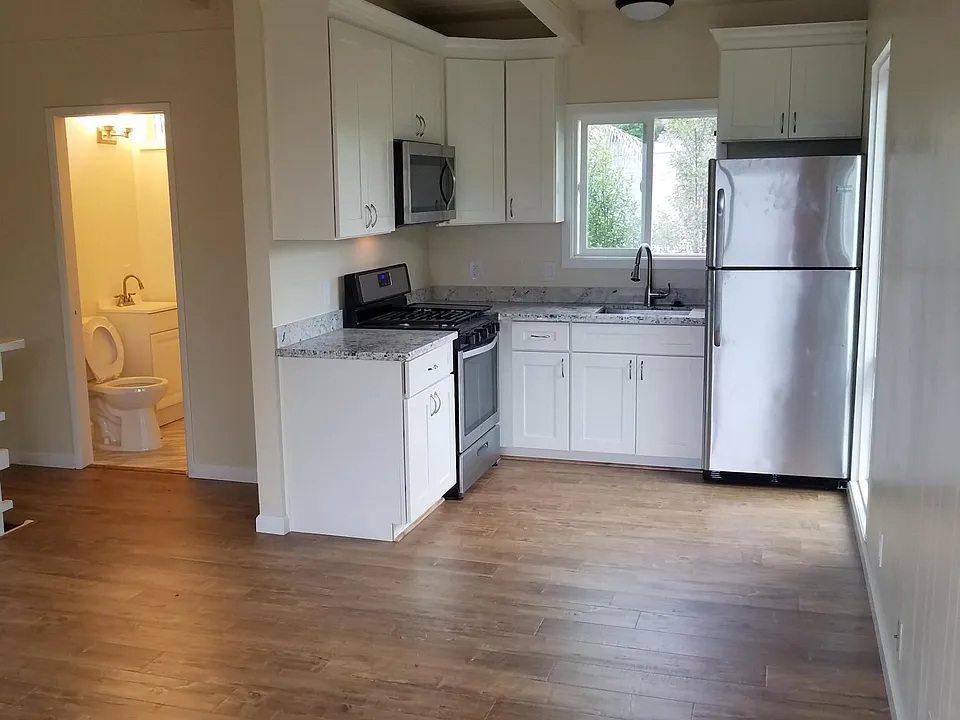 Living room and kitchen