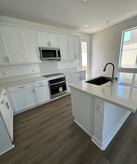 31649 Cobalite Dr — Photo 4