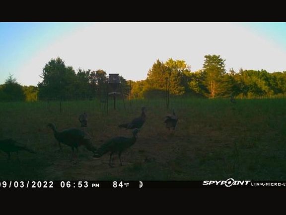 2nd image of 0 S Cedar Grove Rd