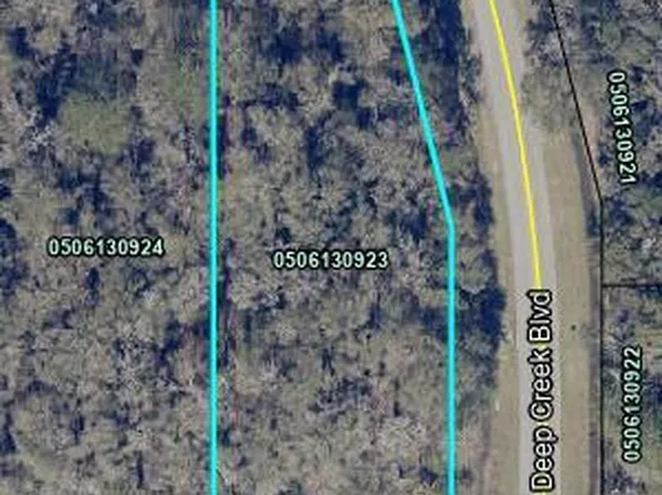 10165 W DEEP CREEK Boulevard, Hastings, FL 32145