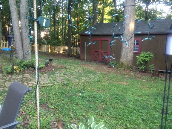 fenced backyard (spring)