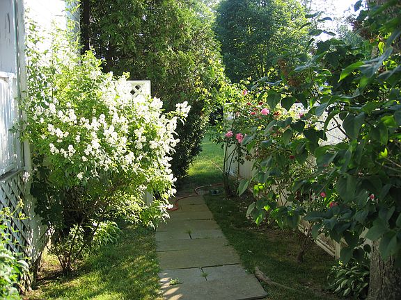 Cherry Entry from Driveway