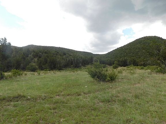 5th image of 27144 Buckhorn Loop