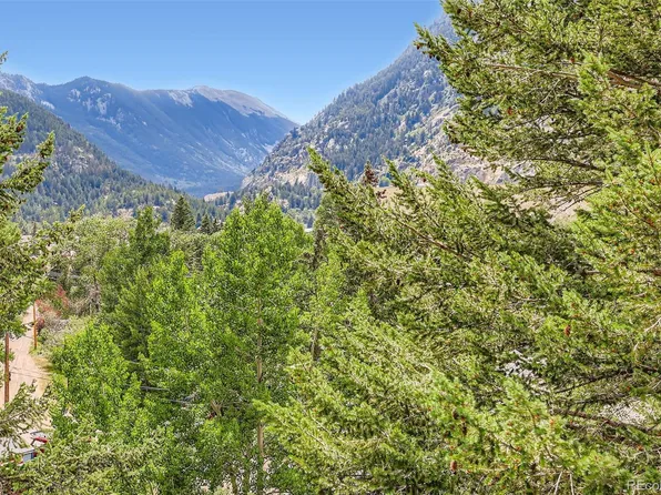 819 Valley View Drive, Georgetown, CO 80444