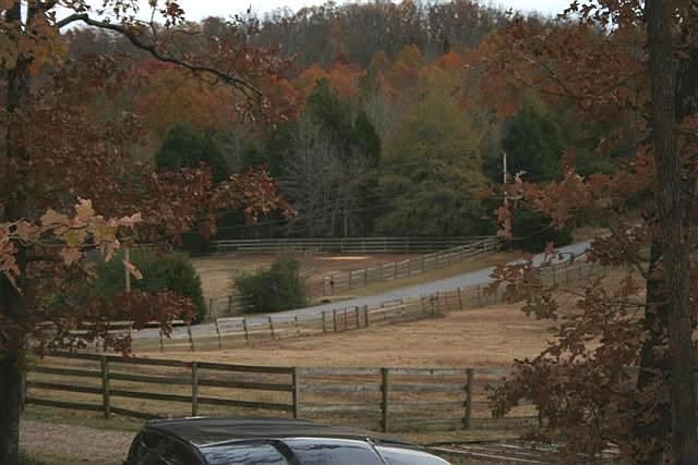 View from the porch