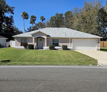 2120 Needle Palm Dr, Edgewater, FL, 32141